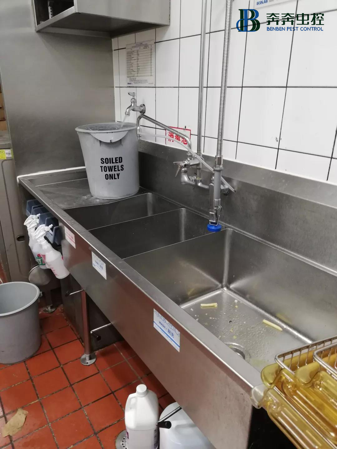 餐厅老板必看：餐馆的蟑螂最喜欢躲藏在哪里？