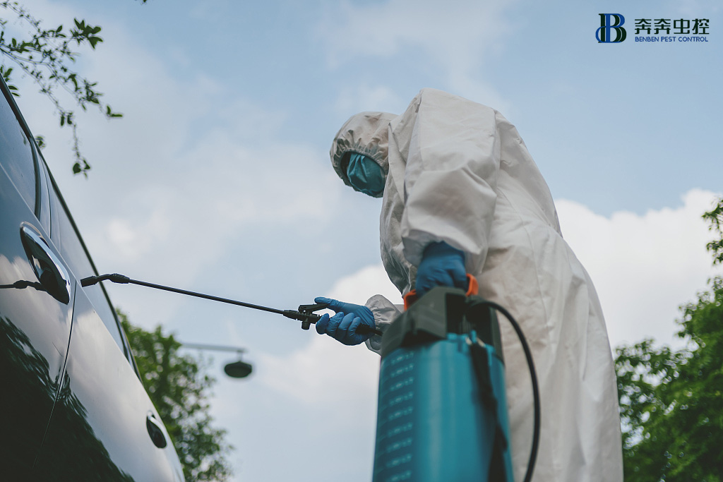 消毒公司|私家车如何消毒？