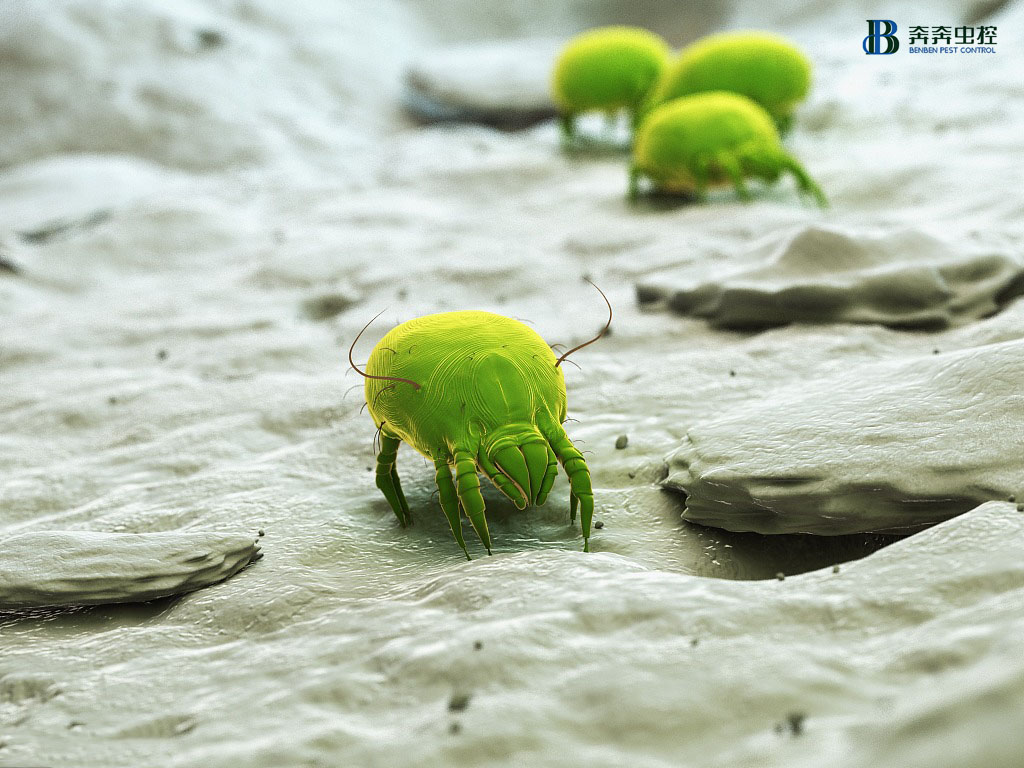 与"它“同居的日子