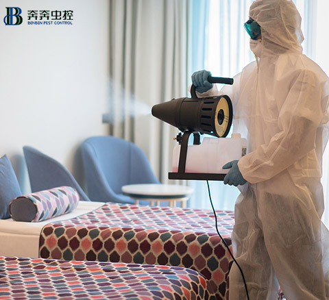 家里都是细菌?那该如何给房子消毒呢?