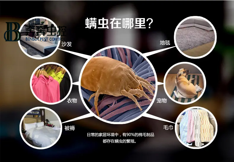 每天都和虫虫睡在一起?