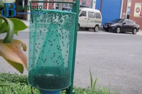 消灭苍蝇，你知道有多少招吗？