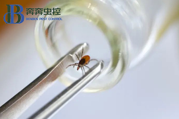 亲近大自然，谨防被蜱虫&ldquo;叮&rdquo;上