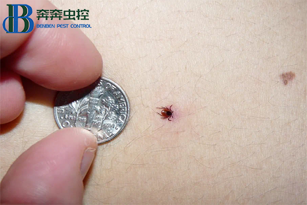 “虫出没请注意”,蜱虫进入活跃期!