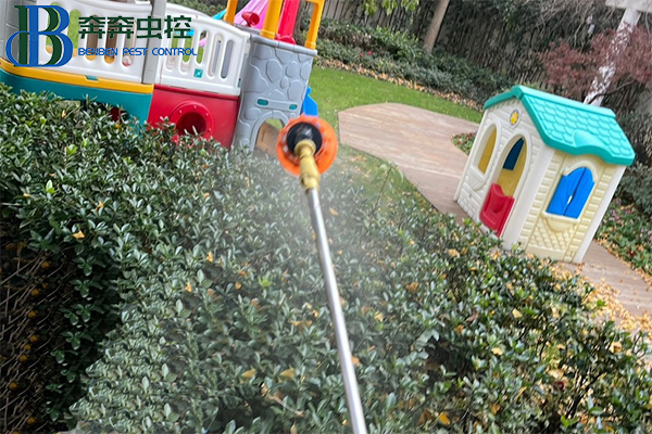 学校如何防治四害