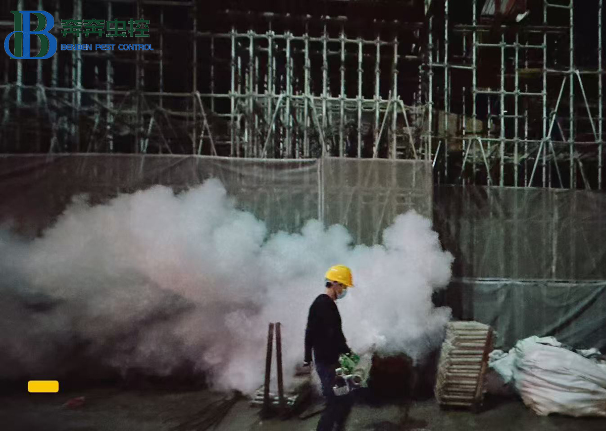 工地夏季灭蚊攻略:从“治蚊”到“防蚊”,守护施工安全与健康